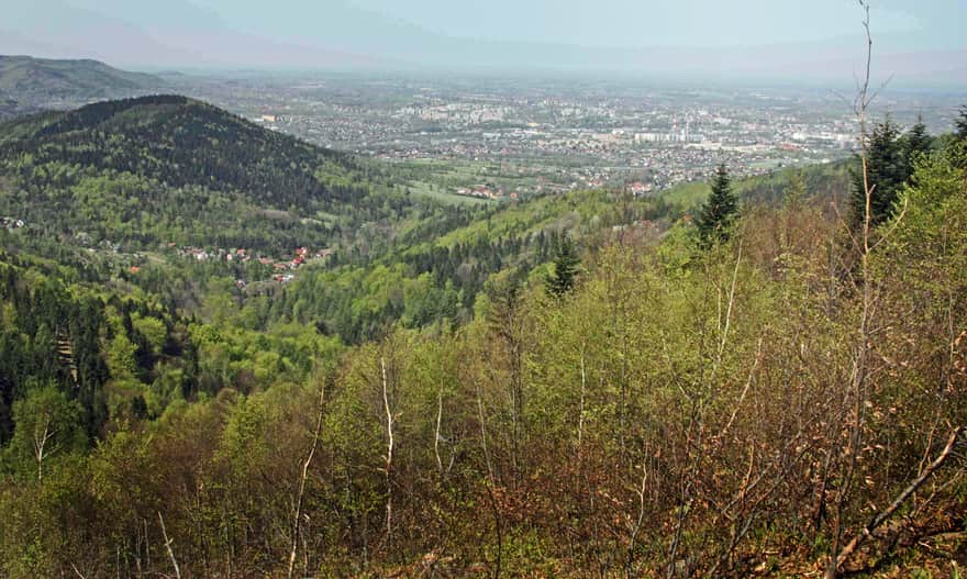 Niebieski szlak na Magurkę Wilkowicką z Przełęczy Przegibek - widok na Bielsko-Białą