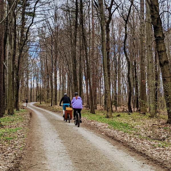 Zabierzów Forest - Bike or Stroller Path from Zabierzów to Kleszczów