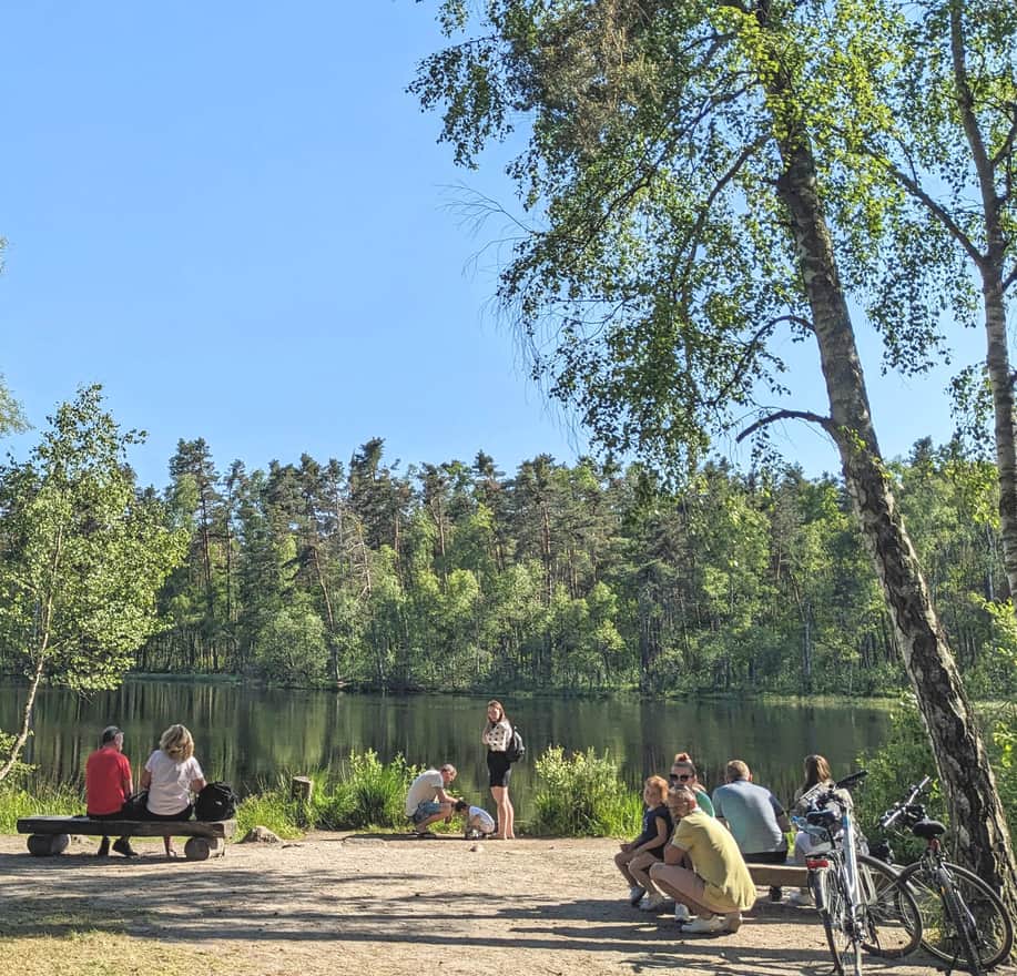 Niepołomice Forest: Cycling to the Black Pond