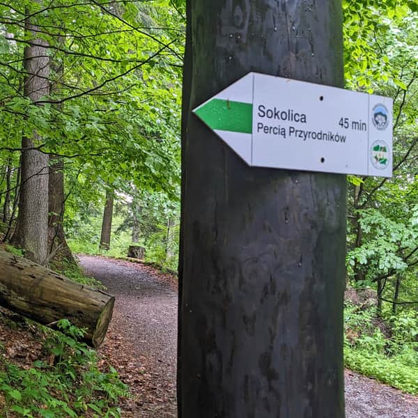 The Naturalists' Path: From Górny Płaj to Sokolica