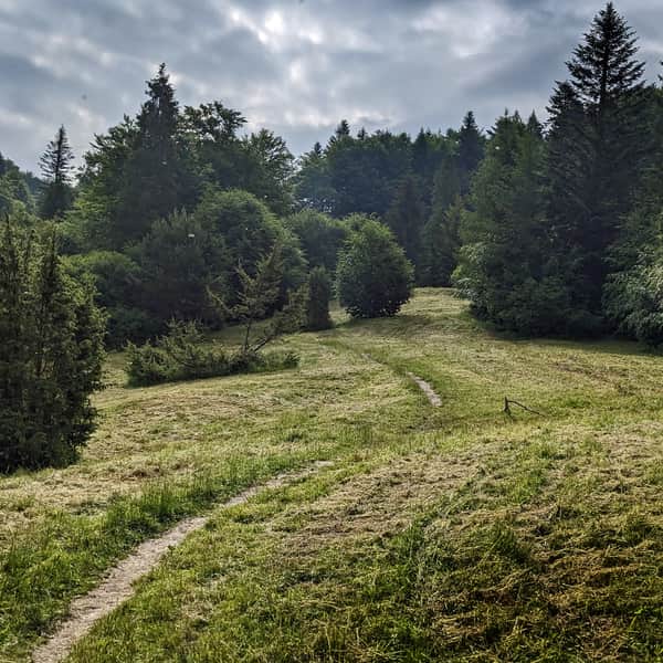 The Black Trail from Wierchomla to Bacówka nad Wierchomlą