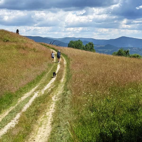 TOP 5 Beskid Sądecki - the most beautiful scenic trails