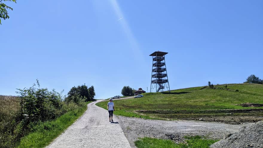 Wieża widokowa na Bruśniku, zejście w stronę Ciężkowic