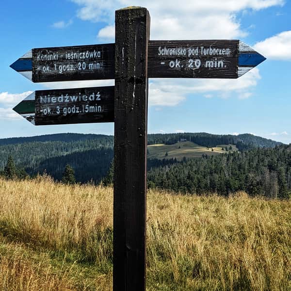 Blue Trail from Koninki to Turbacz summit