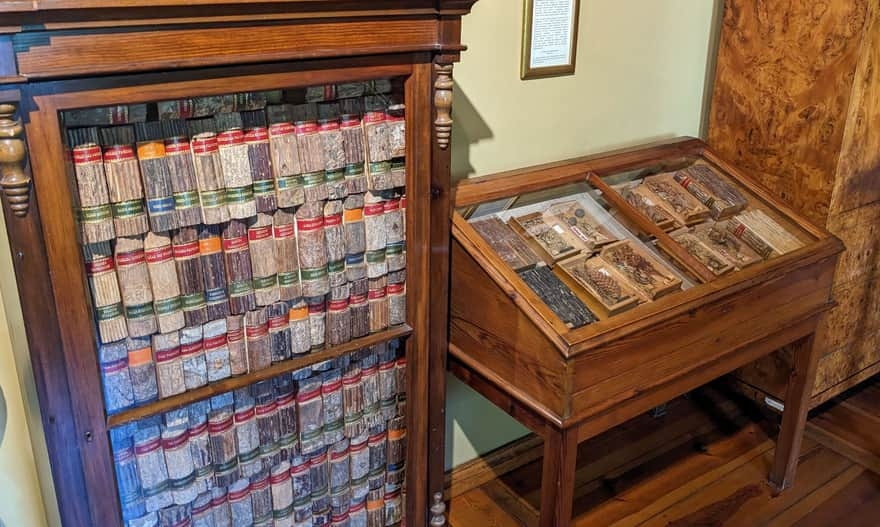 Długosz House. Wooden books about trees