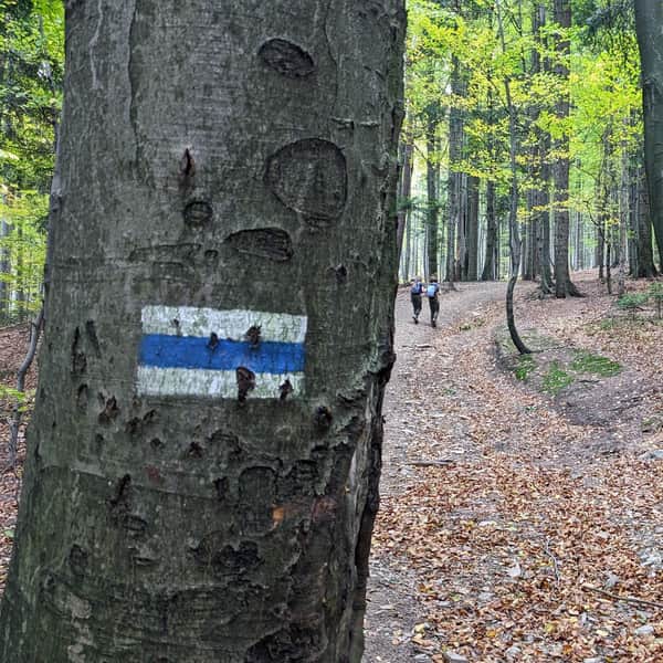 Blue Trail from Ponikwa to Groń JP II and Leskowiec