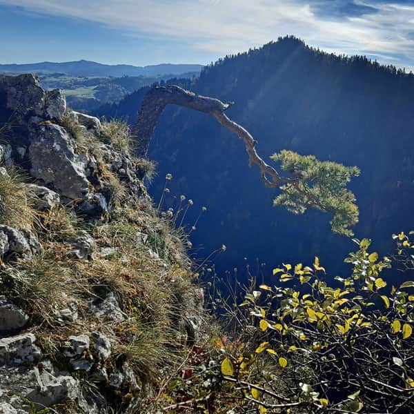 Sokolica - szlaki na widokowy szczyt w Pieninach