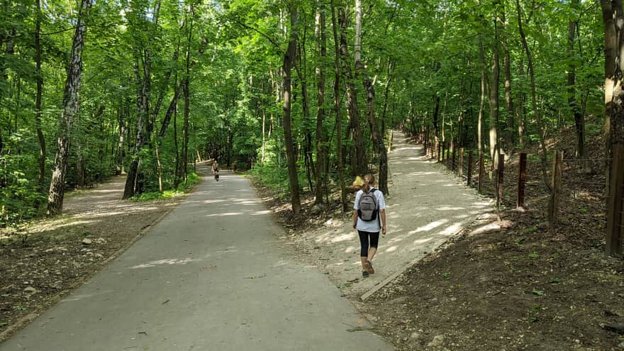 Asphalt and gravel paths around Zakrzówek