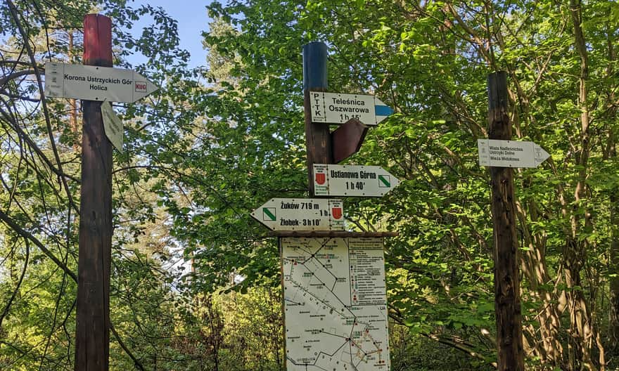 On the ridge of Żuków. On the way to the viewing tower on Holicy.