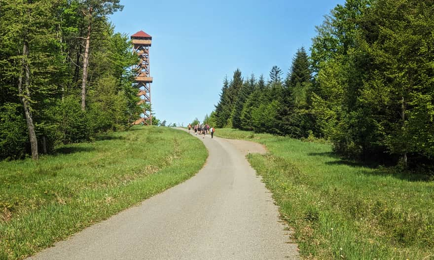 Ridge of Żuków - viewing tower on Holicy