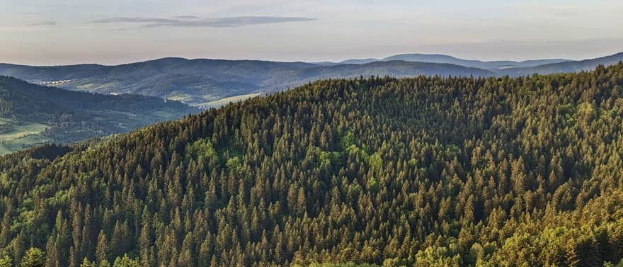 View from the tower on Malnik to the northeast: in the background, the Low Beskid and Lackowa