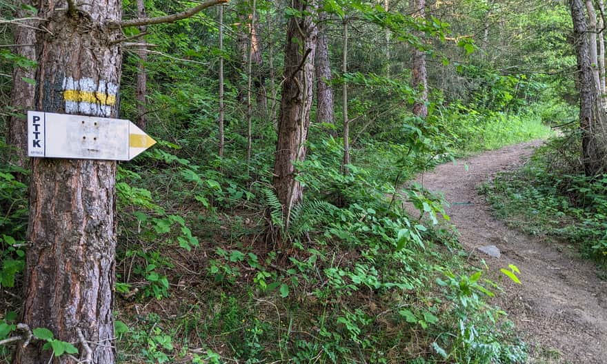 The shortest yellow trail to the tower on Malnik from Muszyna