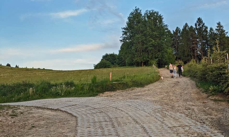 Road split! The main road goes left to the settlement. We go straight to the tower.