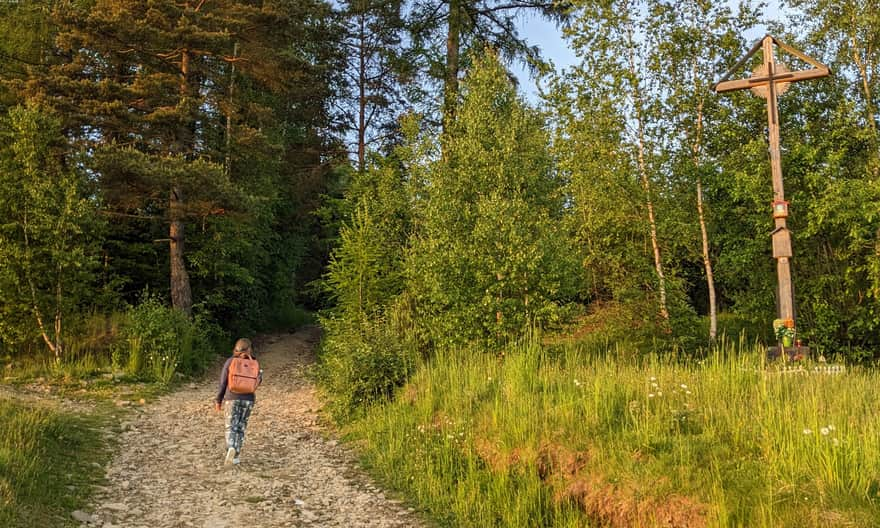 Wejście do lasu tuż pod wieżą widokową na Malniku