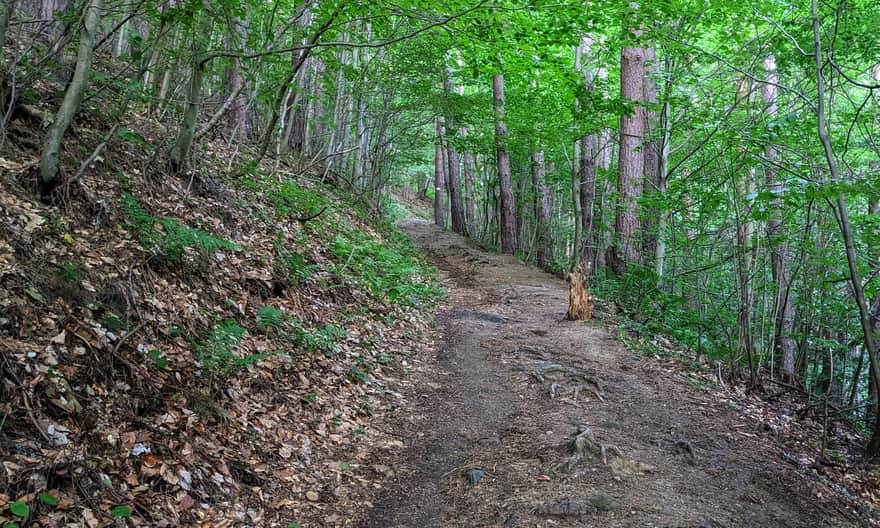 The shortest yellow trail to the tower on Malnik from Muszyna