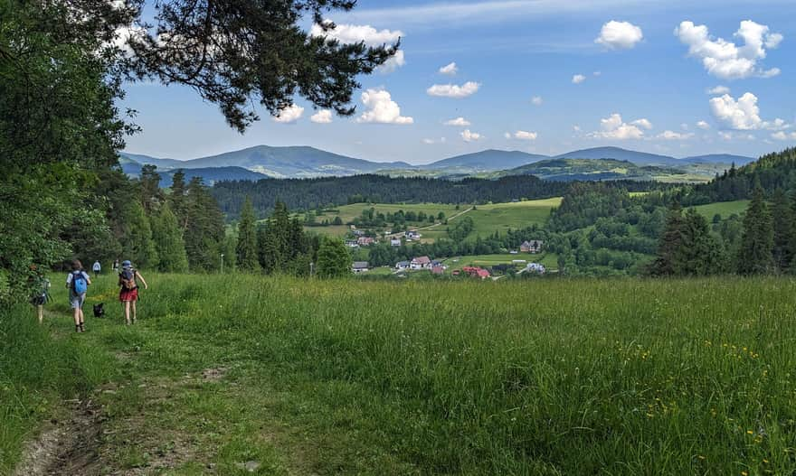 Czarny szlak z Rabki Słone na Maciejową - widok na północ. Beskid Wyspowy (Lubogoszcz, Śnieznica, Ćwilin, Łopień), a przed nim gorczańskie wzgórza (Potaczkowa i Adamczykowa)