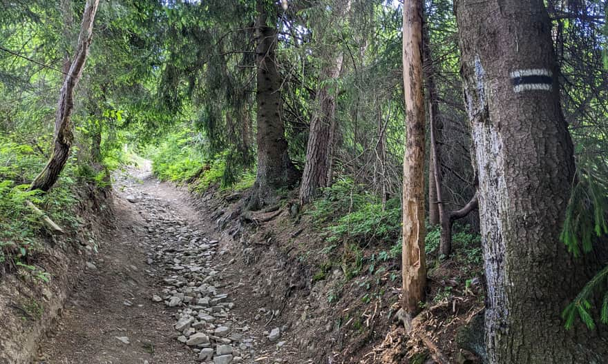 Black Trail from Rabka Słone to Maciejowa.