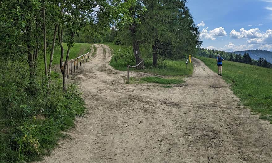 At this point, the red and black trail lead to the shelter on the left (the road on the right bypasses the shelter at the bottom of the Przysłop Glade).