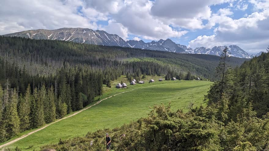 Kopieniec Meadow from the trail to Wielki Kopieniec