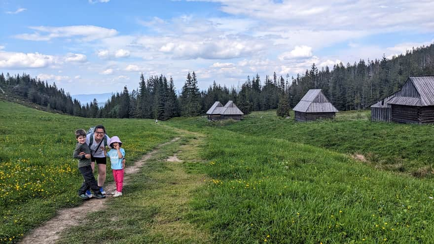 Kopieniec Meadow and old shepherd huts