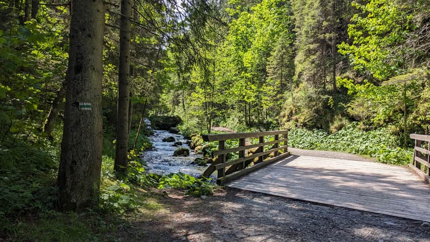 Entrance to Olczyska Valley