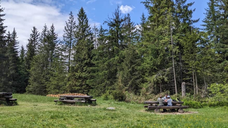 Olczyska Meadow