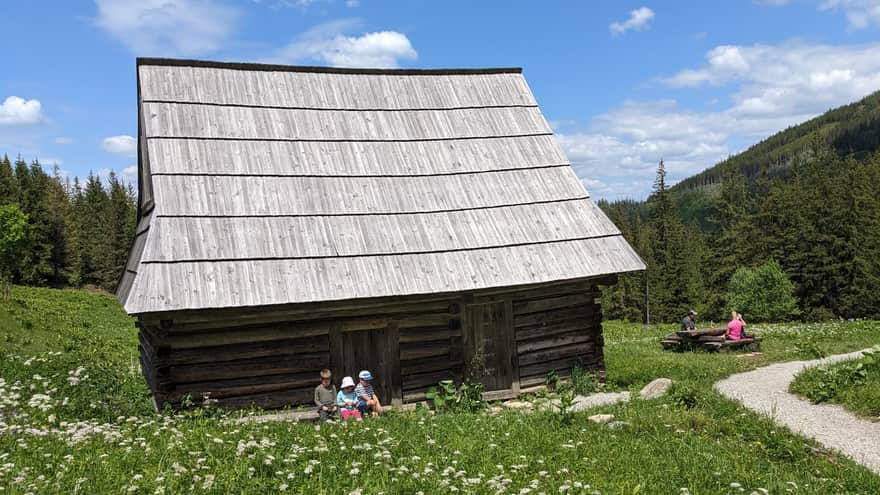 Old shepherd hut - Olczyska Meadow