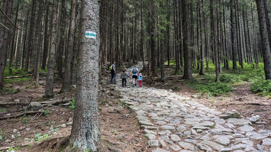 Ascent to Kopieniec Meadow