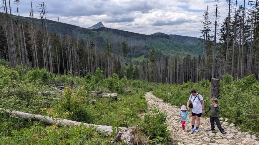 Ascent to Kopieniec Meadow