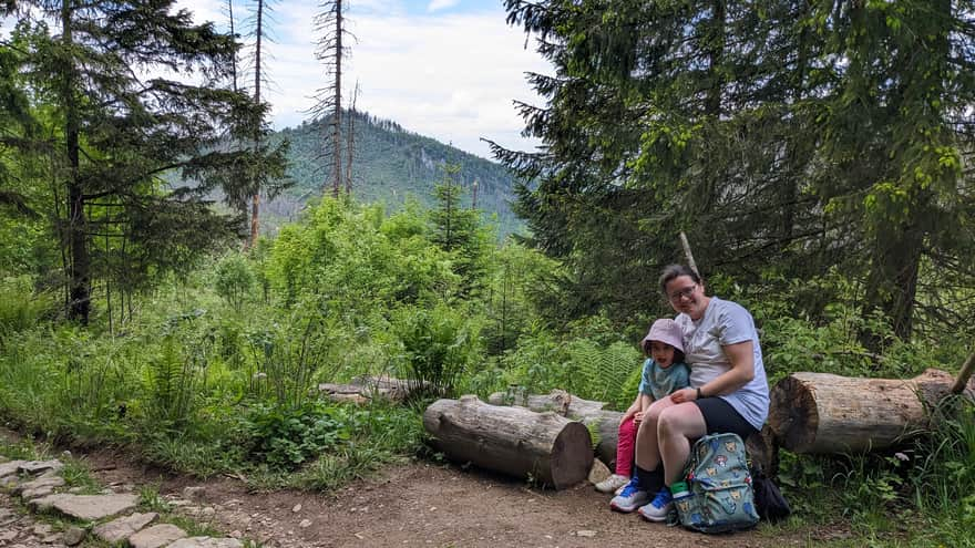 Ascent to Kopieniec Meadow