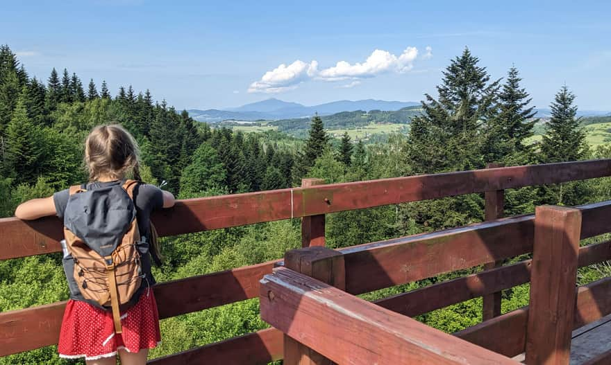 Widok z wieży na Polaczkówce na zachód (Babia Góra, Pasmo Polic)