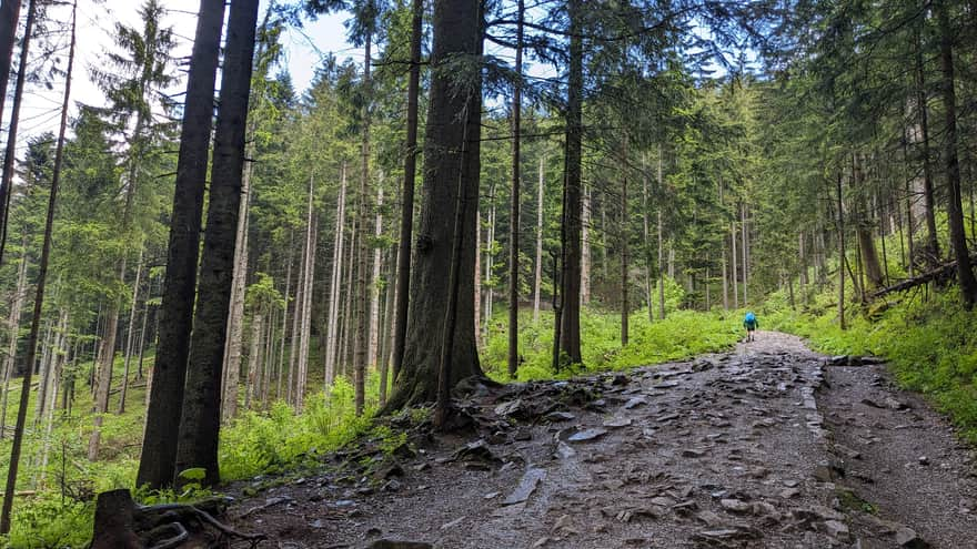 Blue trail from Kuźnice to Hala Gąsienicowa through Skupniowy Upłaz