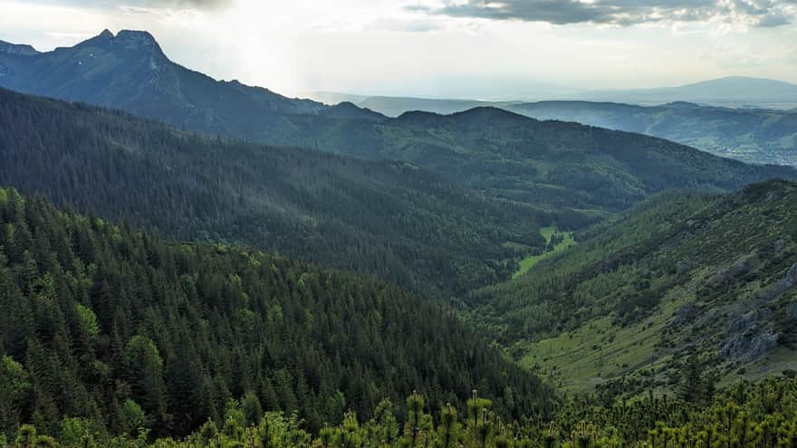 Widok z góry na Dolinę Jaworzynki