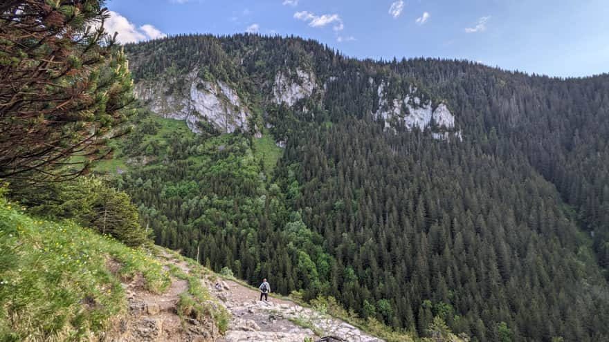 Descent to Jaworzynka Valley