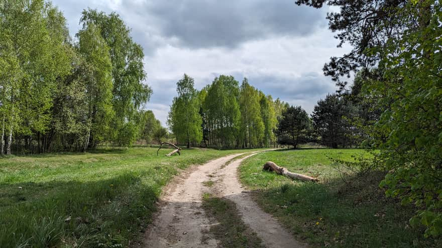 Trasa rowerowa przy wschodnim brzegu zbiornika Pogoria IV