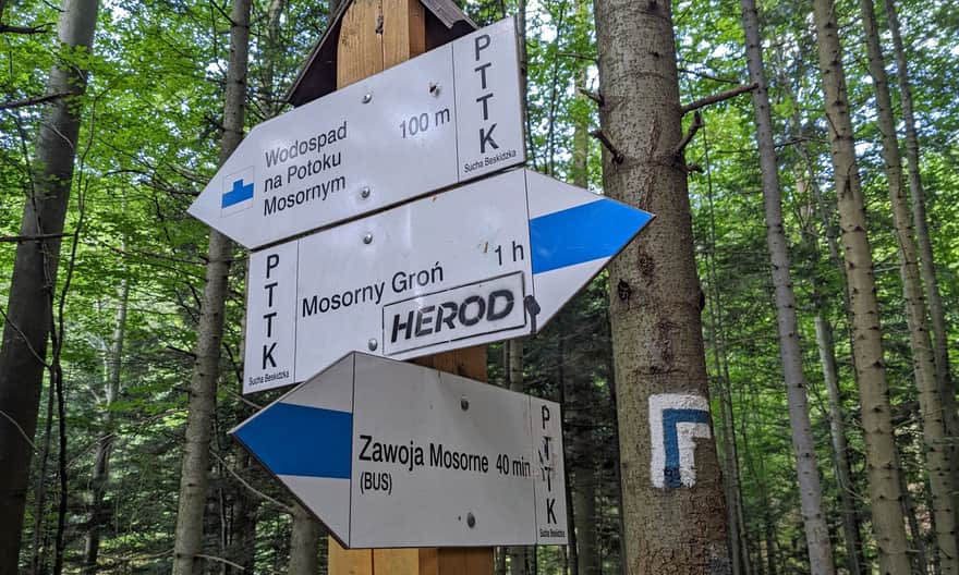 Niebieski szlak Zawoja - Mosorny Groń. Boczna ścieżka do wodospadu na Mosornym Potoku