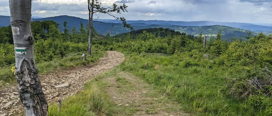 View from the green trail to the north: Jałowieckie Range and Beskid Mały