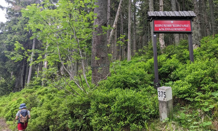 Green trail: entrance to the Nature Reserve "Na Policy im. Prof. Zenon Klemensiewicz"