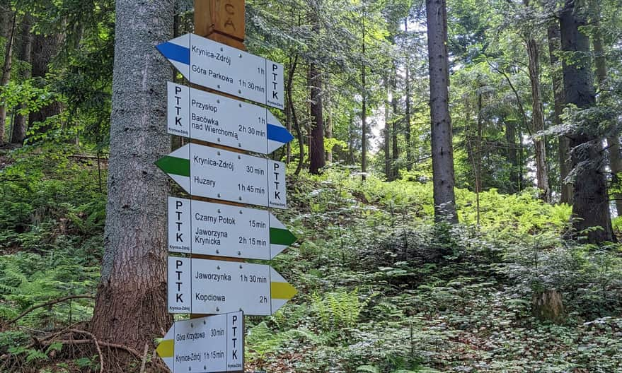 Intersection of the green, yellow, and blue trails just before Krzyżowa Pass