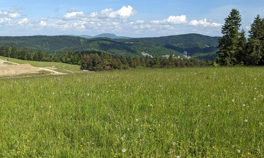 View of Krynica-Zdrój, Huzaty, and in the background: Lackowa