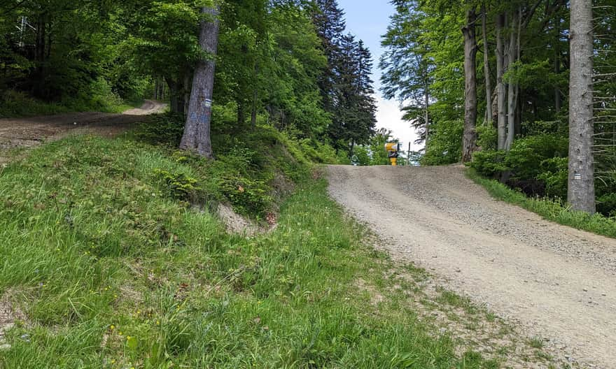 Hiking path to the Słotwiny tower