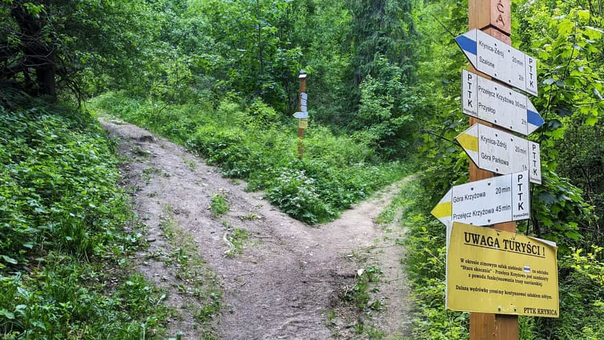 Split of the yellow and blue trails near Góra Krzyżowa