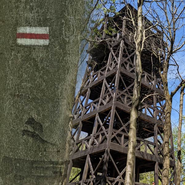 Cergowa z Nowej Wsi - czerwony szlak na wieżę widokową