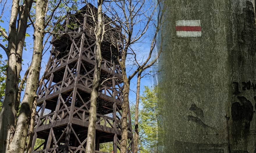 Czerwony szlak z Nowej Wsi na Cergową