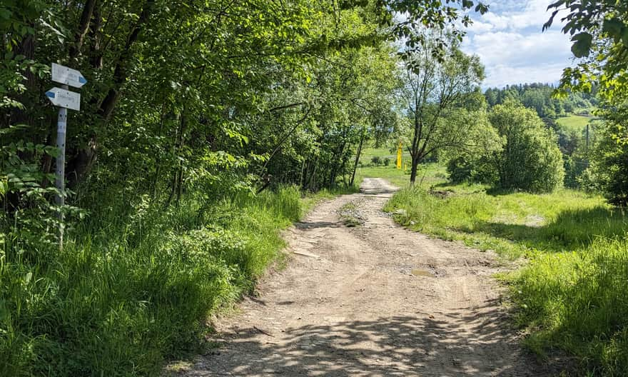 Blue trail from Rabka-Zdrój to the lookout tower on Polczakówka: end of asphalt, entering dirt roads