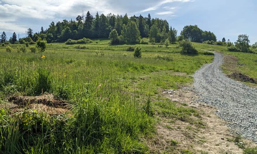 Grzebień seen from the blue trail Rabka-Zdrój - Polczakówka. This dirt road leads to a scenic meadow and the black trail Rabka-Zdrój - Grzebień - Rabka-Zaryte.