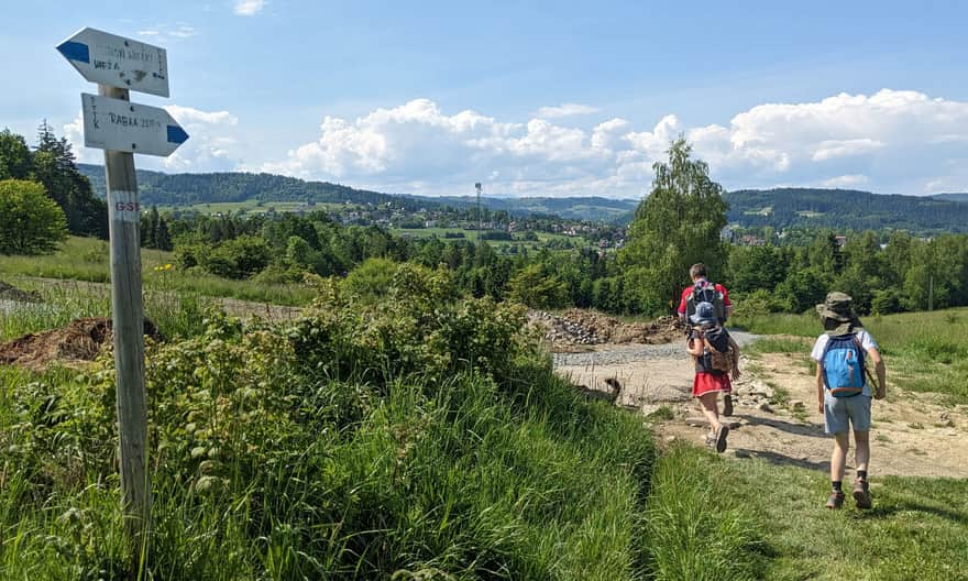 Blue trail from Rabka-Zdrój to the lookout tower on Polczakówka - here you can turn towards Grzebień on an unmarked, rocky road.