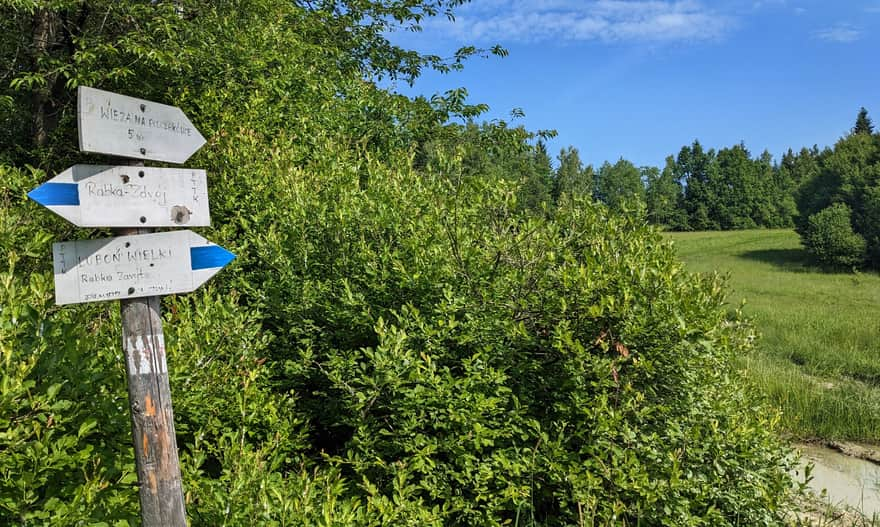 Uwaga! To właśnie w tym miejscu skręcamy z niebieskiego szlaku do wieży widokowej na szczycie Polczakówki