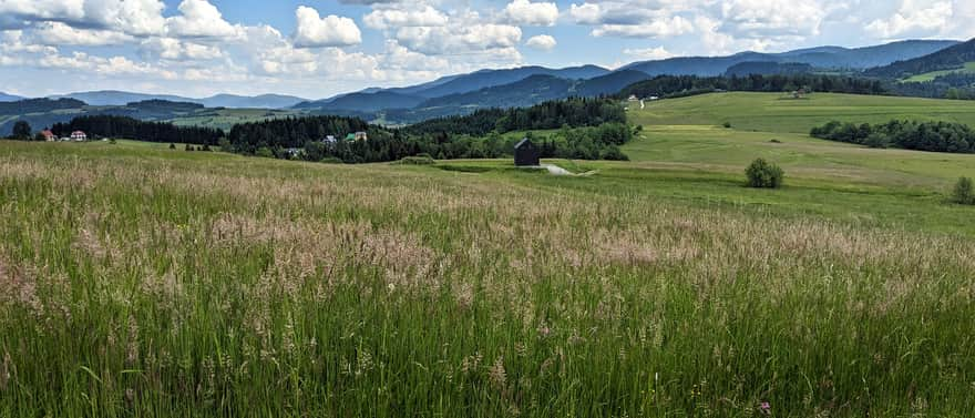 Grzebień. View from the meadows to the east: Beskid Wyspowy and Gorce.