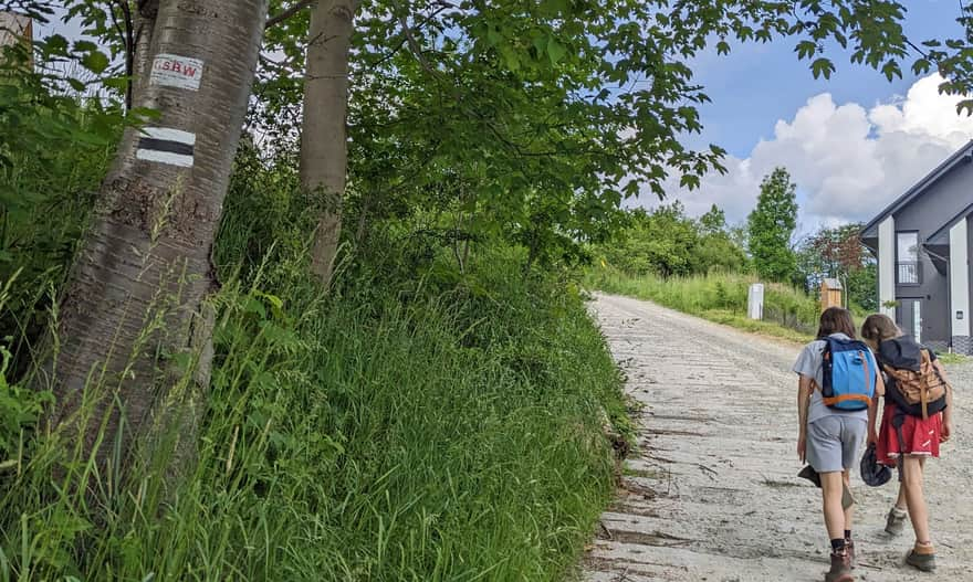 Black trail from Rabka-Zdrój to Grzebień and to Rabka Zaryte.